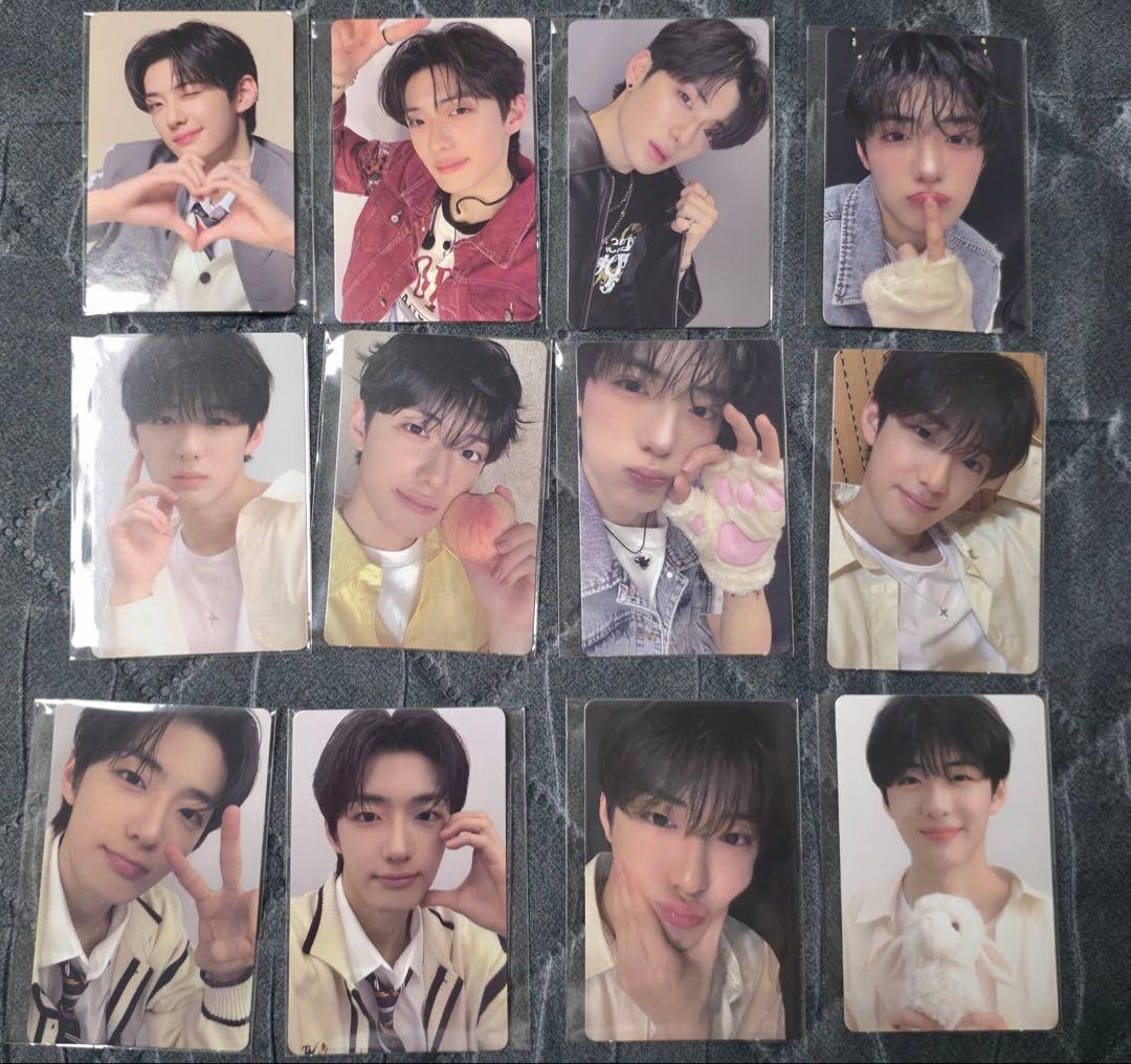 ボイプラ2 韓国 アーカイブ展 popup サンヒョン トレカ コンプリート