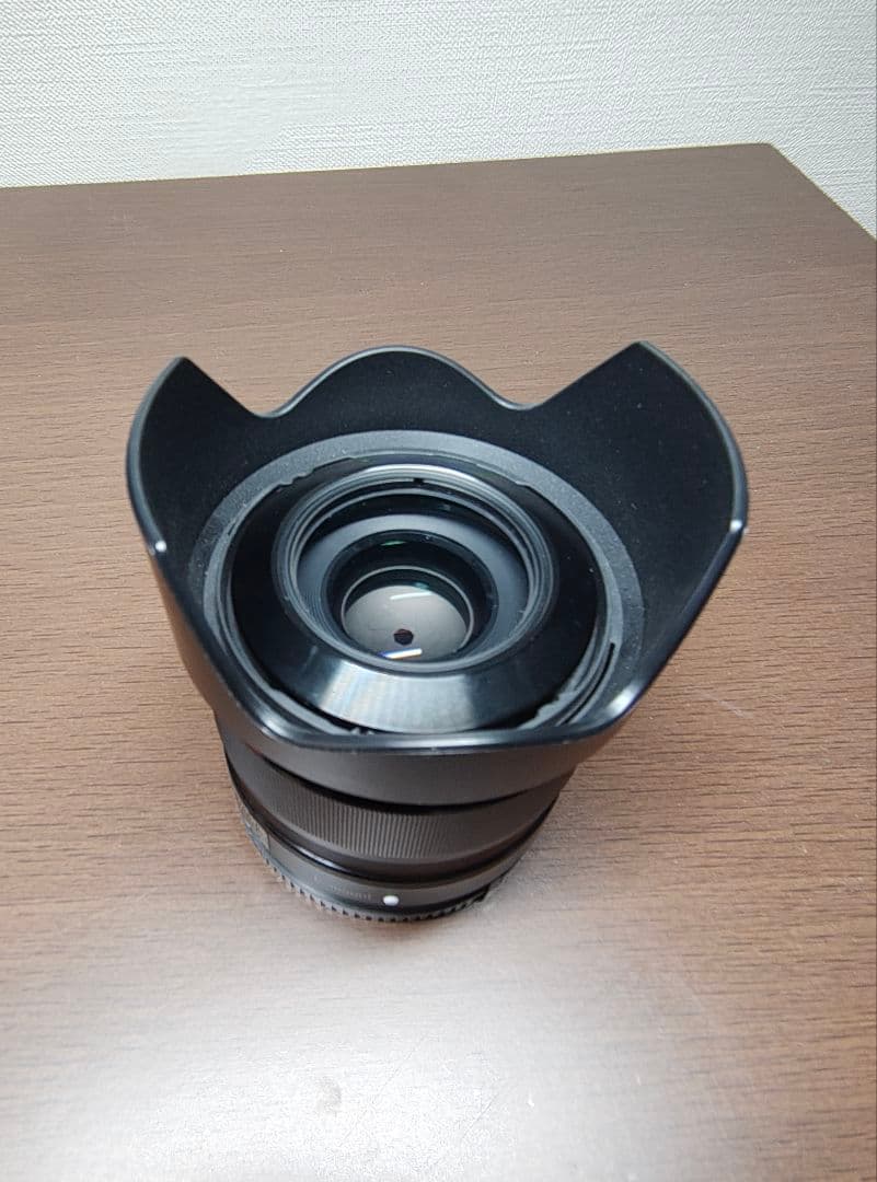 【brown】SONY α6000 ボディ　SEL35F18 レンズ