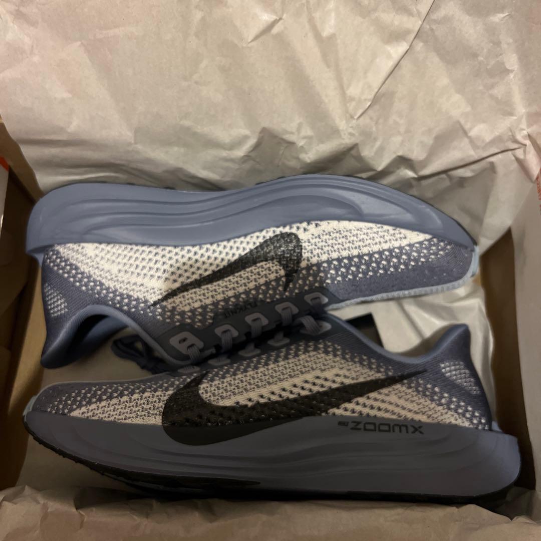 ペガサスイージーオンとペガサスプラス25.5cm