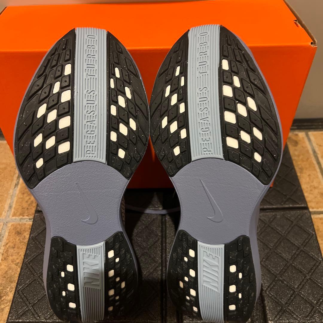 ペガサスイージーオンとペガサスプラス25.5cm