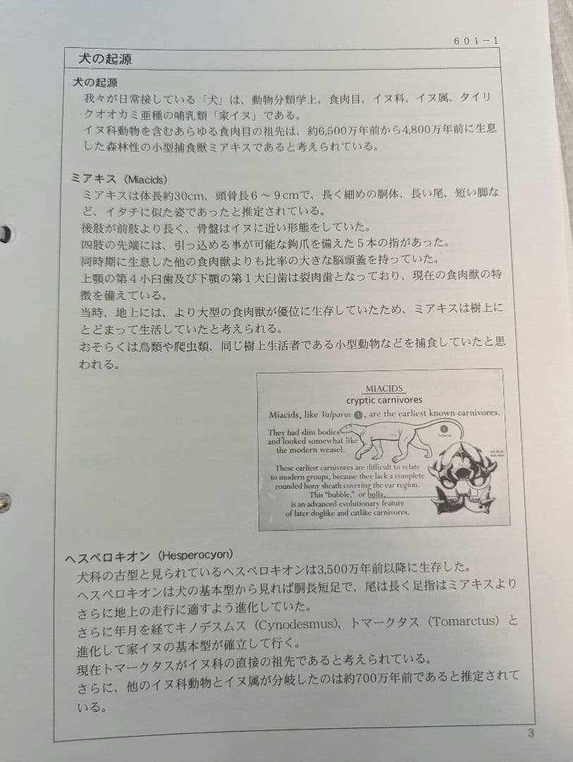 ドッグトレーナープロフェッショナル講座　ヒューマンアカデミー　テキスト DVD