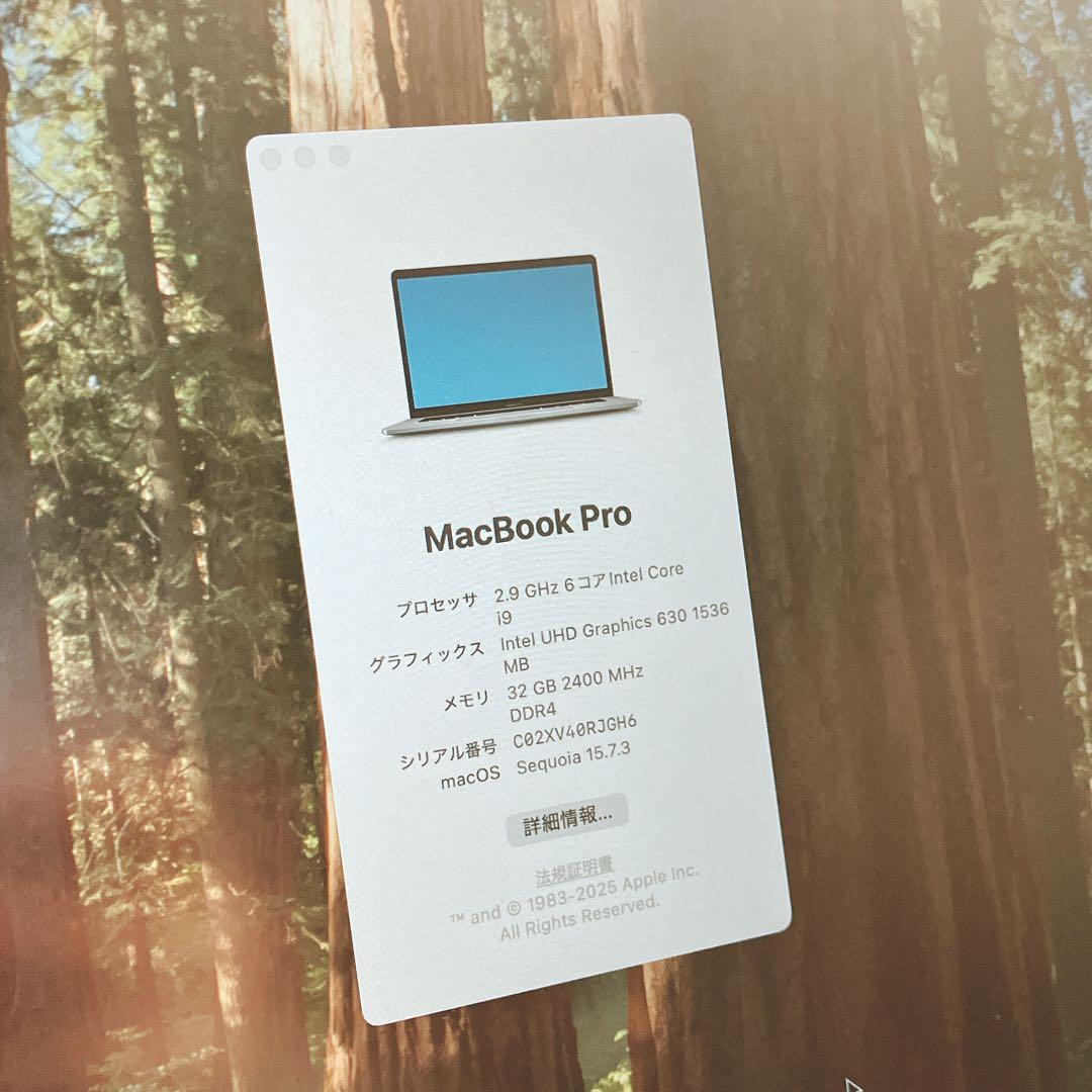 MacBook Pro 15.4インチ（外箱付）2019/i9/32GB/1TB