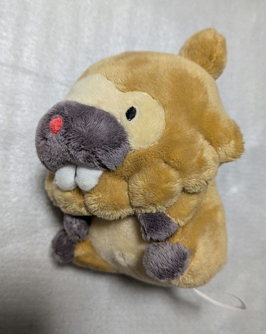 ビッパ 　ポケドール