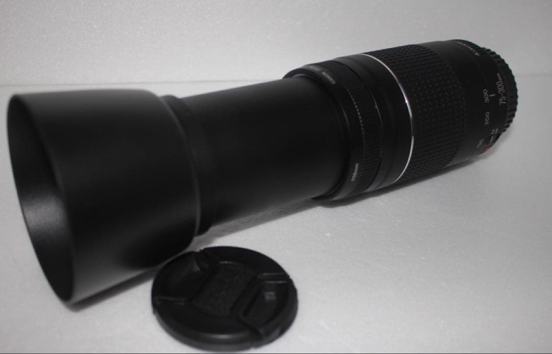 望遠レンズ☆一眼レフカメラ☆Canon EF75-300㎜1:4-5.6Ⅲ☆