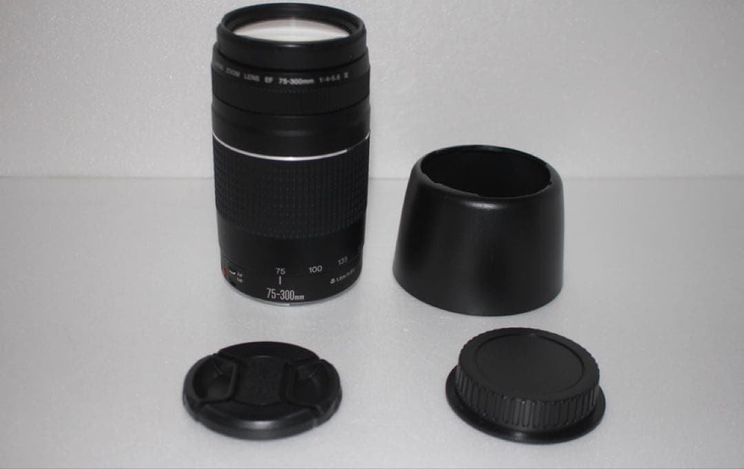 望遠レンズ☆一眼レフカメラ☆Canon EF75-300㎜1:4-5.6Ⅲ☆
