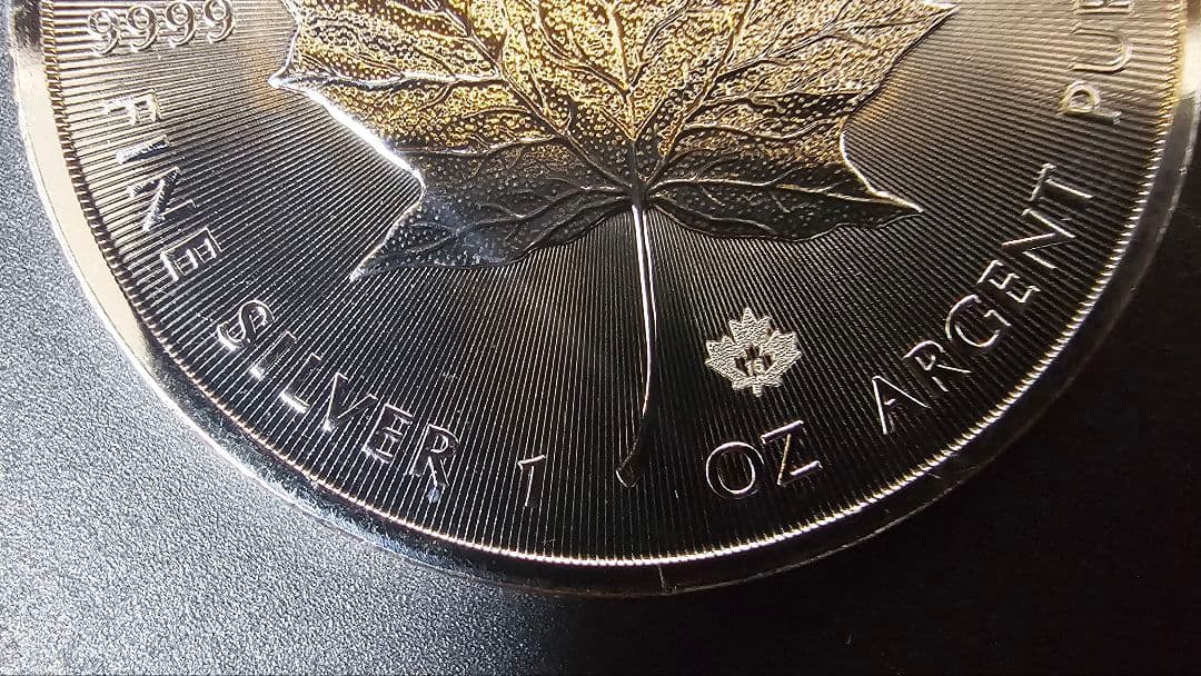 カナダメイプル2015, 9999純銀 1オンス x25枚