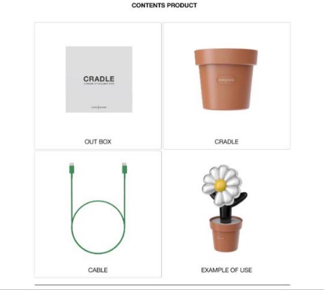 G-DRAGON OFFICIAL LIGHT STICKペンライト鉢植えセット