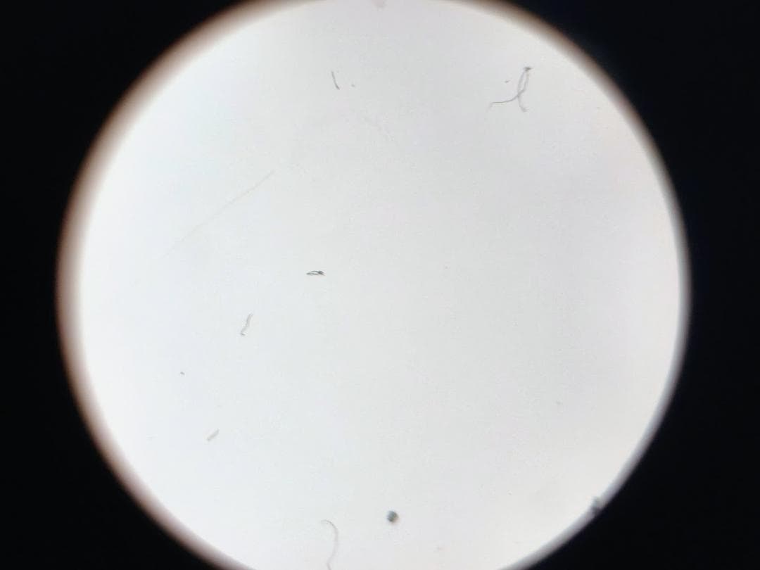 【黒死病対策】【内臓電池交換】ペンタックス　PENTAX K-30 綺麗な白