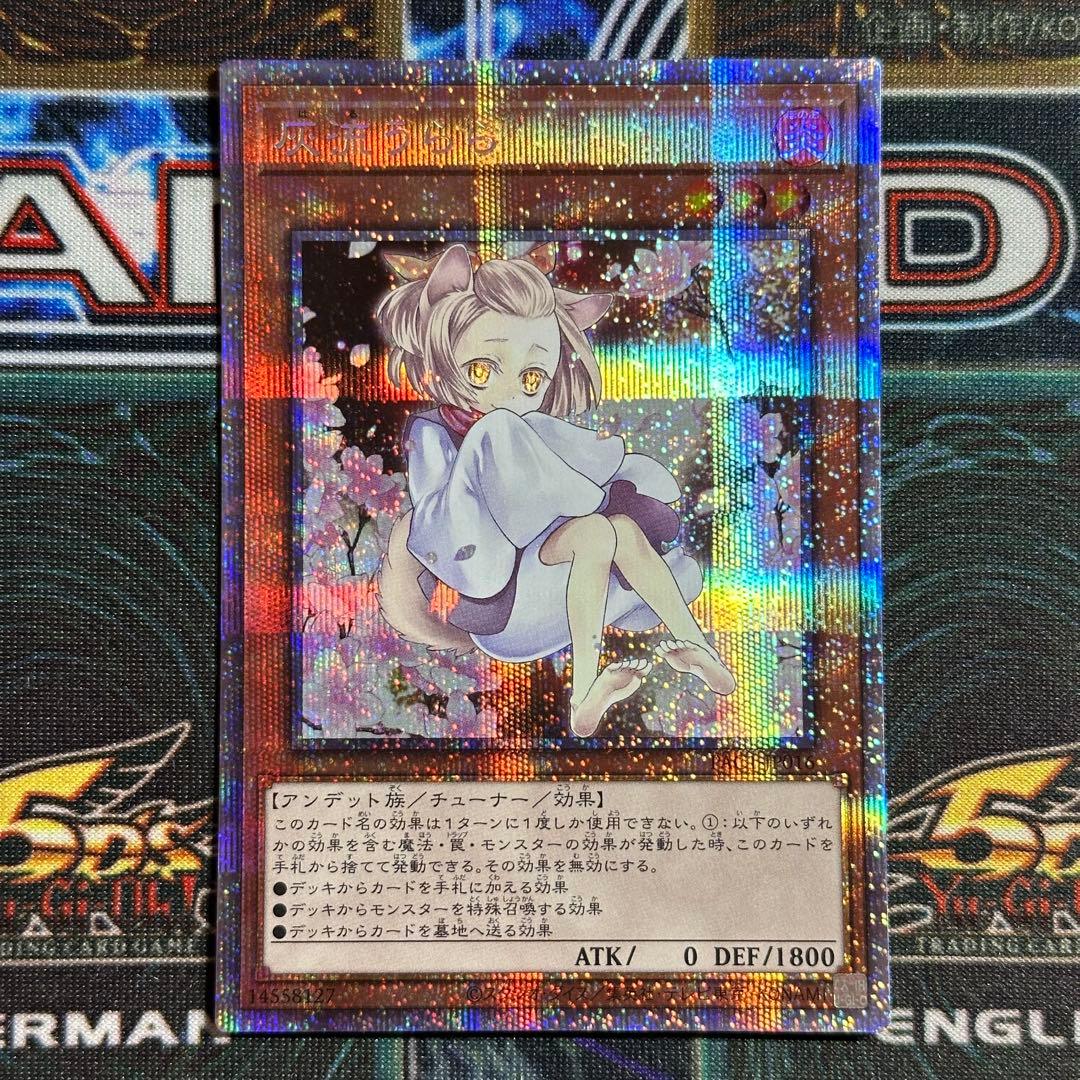 遊戯王　灰流うらら　絵違い　プリズマティックシークレットレア