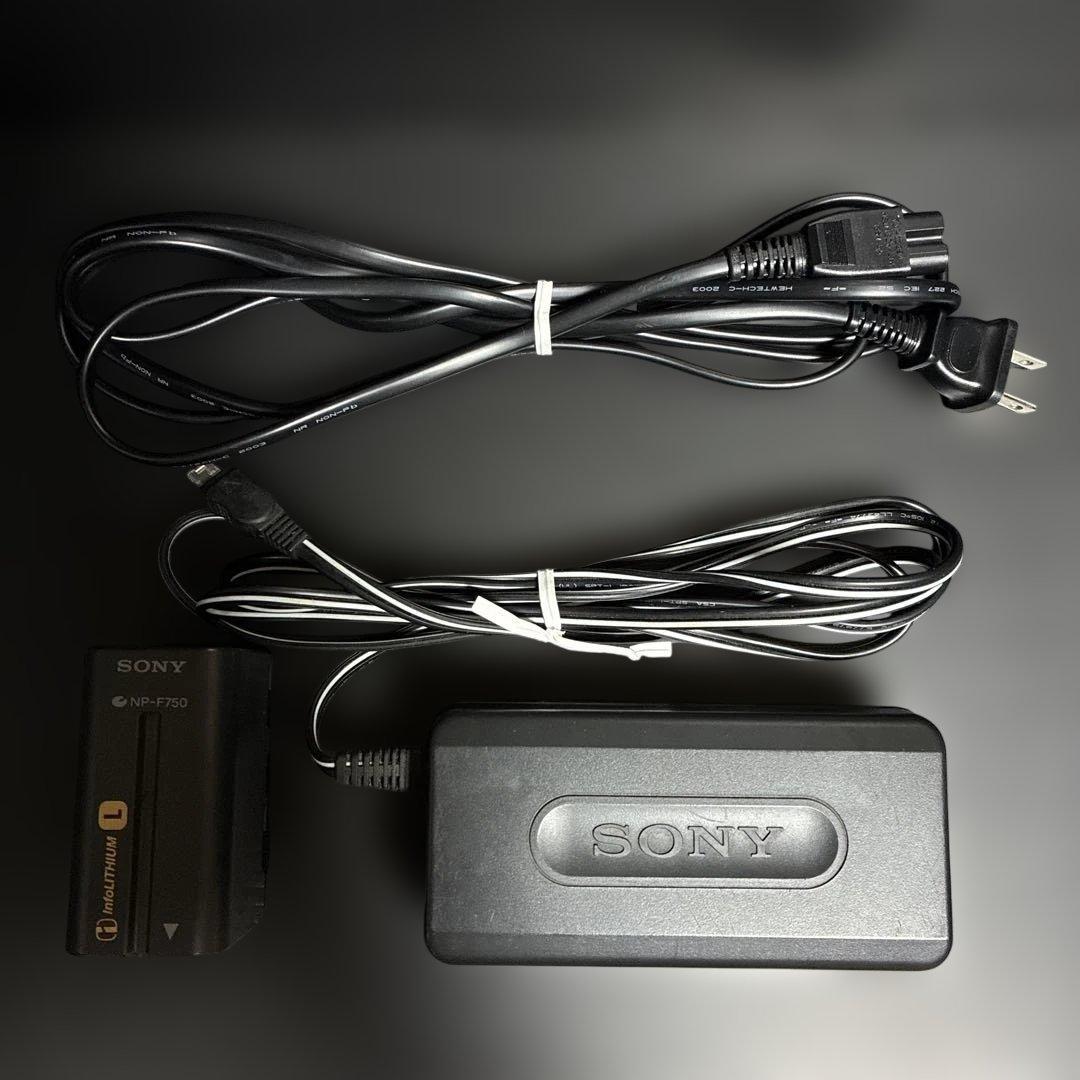 SONY GV-D200 デジタルビデオカセットレコーダ【動作確認済】付属品多数