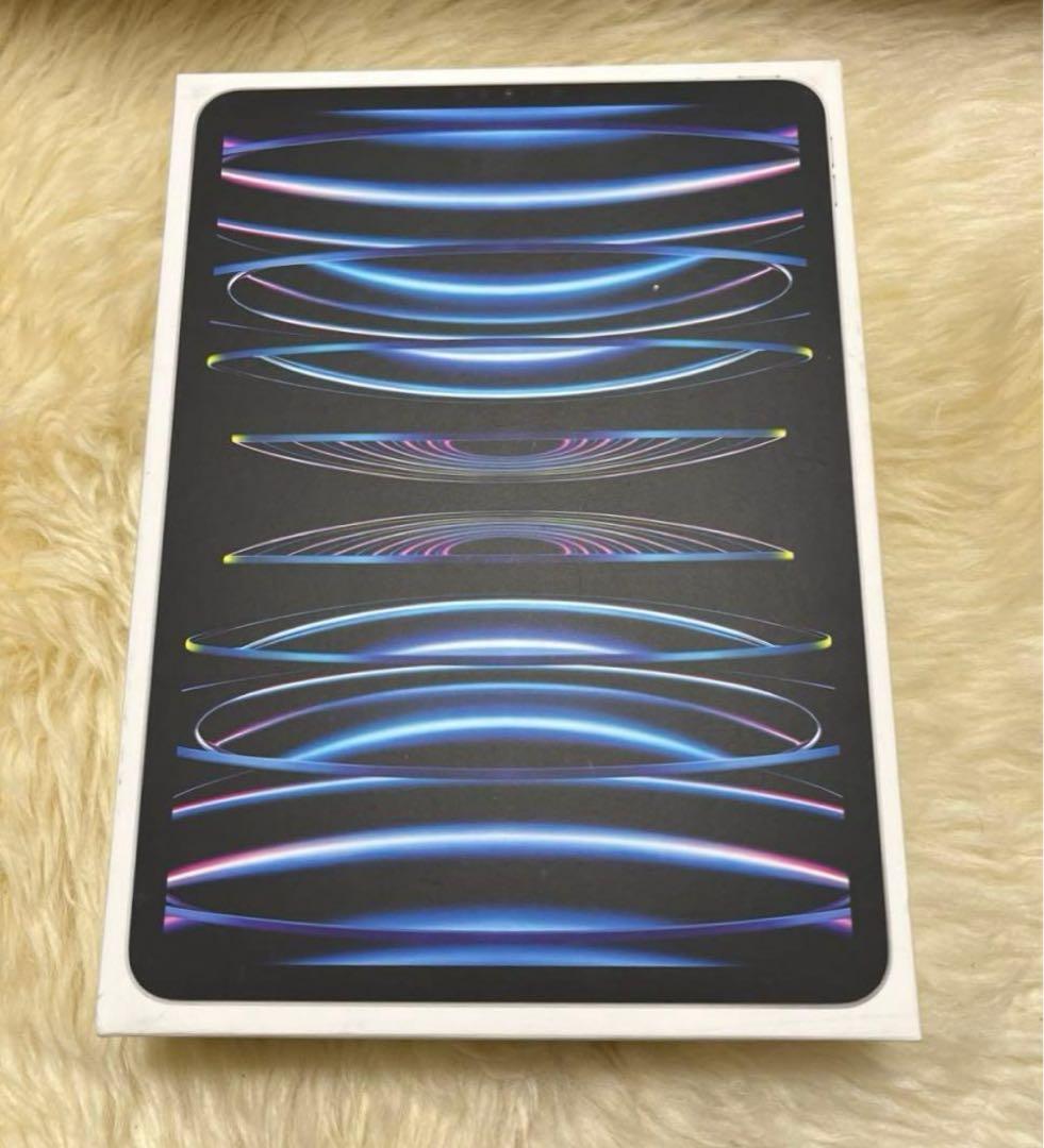 美品 Apple iPad Pro 11インチ 256GB Wi-Fi
