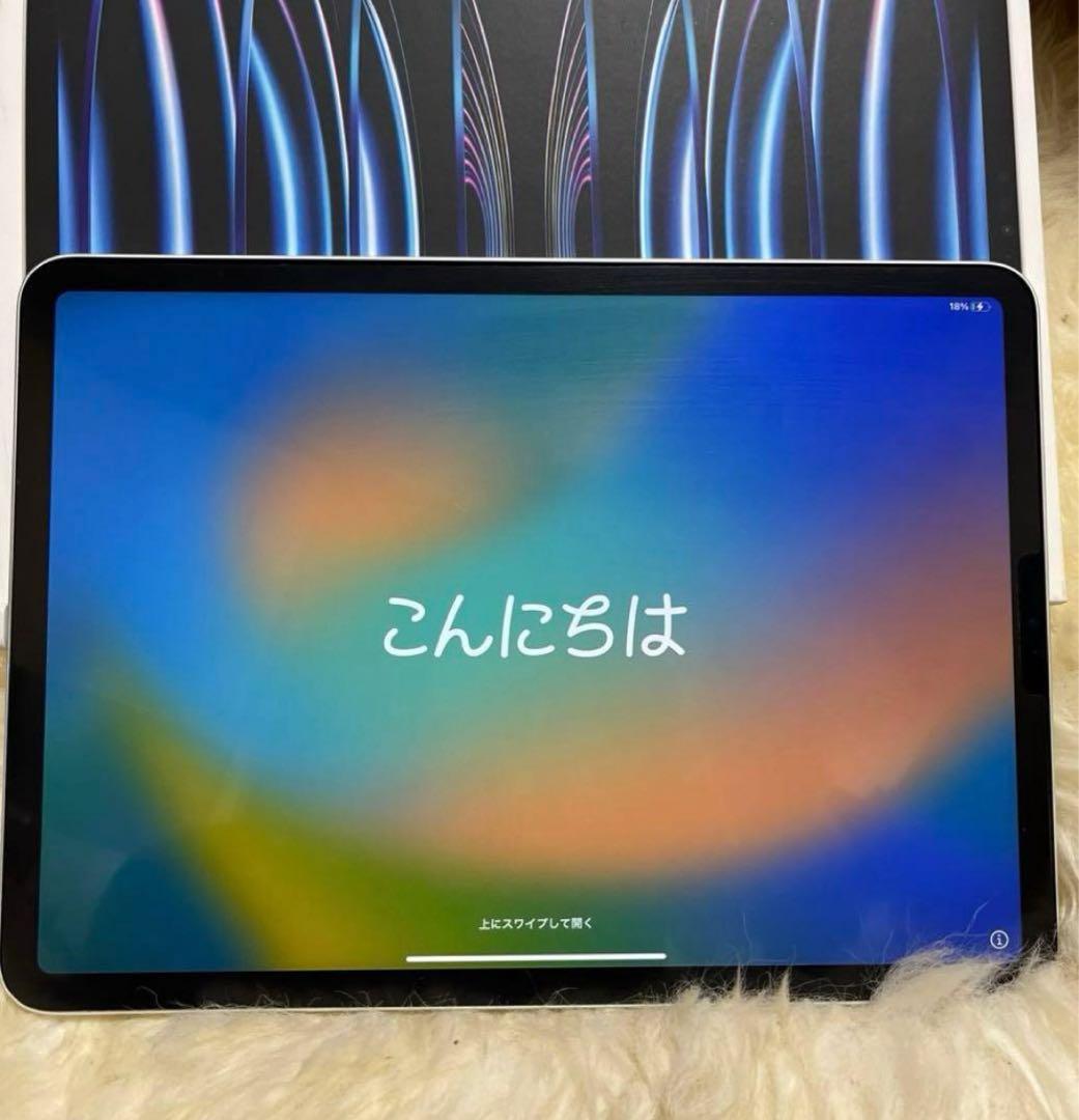 美品 Apple iPad Pro 11インチ 256GB Wi-Fi