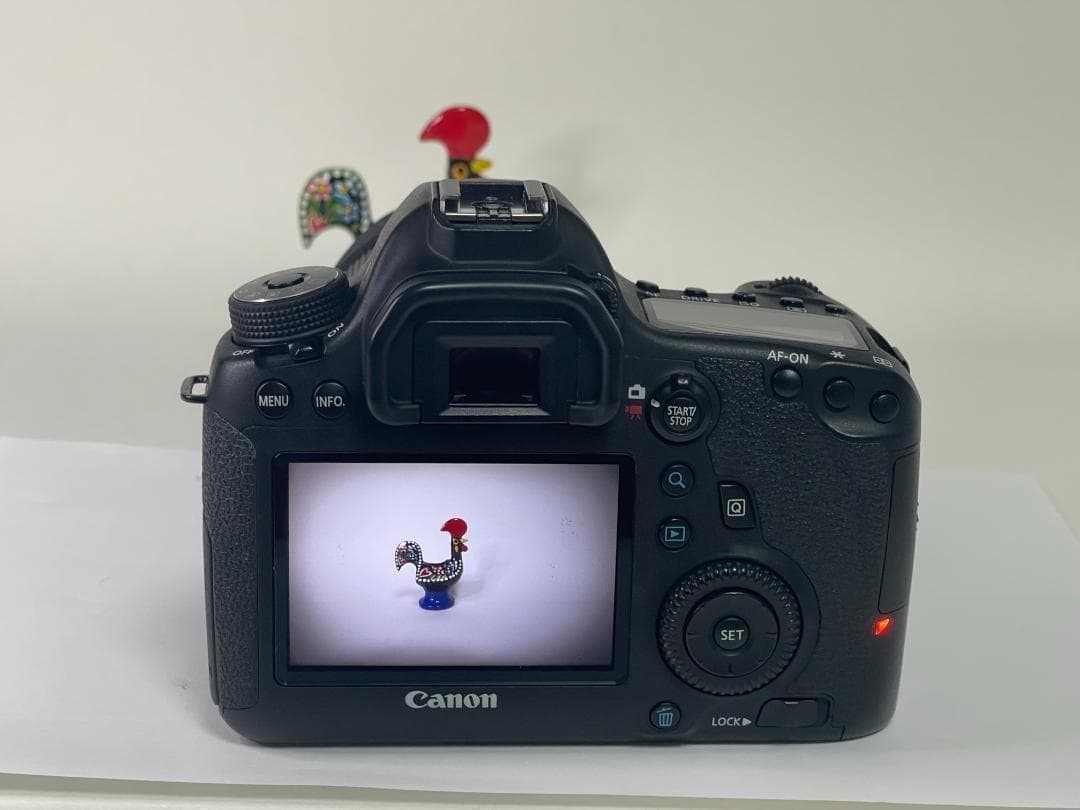 ★ショット18811回★ Canon EOS 6D フルサイズ カメラ キヤノン