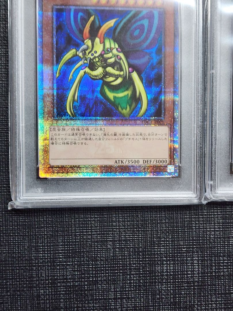 ご*こ様 連番 PSA10 究極完全態 グレートモス ホーリーナイトドラゴン 2