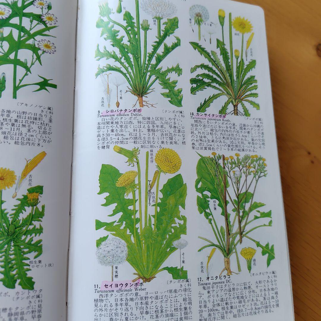【原色牧野日本植物図鑑 コンパクト版】【原色樹木図鑑】5冊牧野富太郎