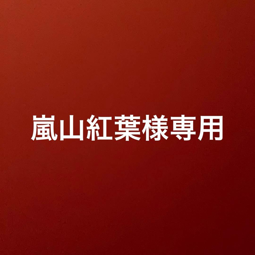 GSX1100S　SY　刀 オイルクーラー