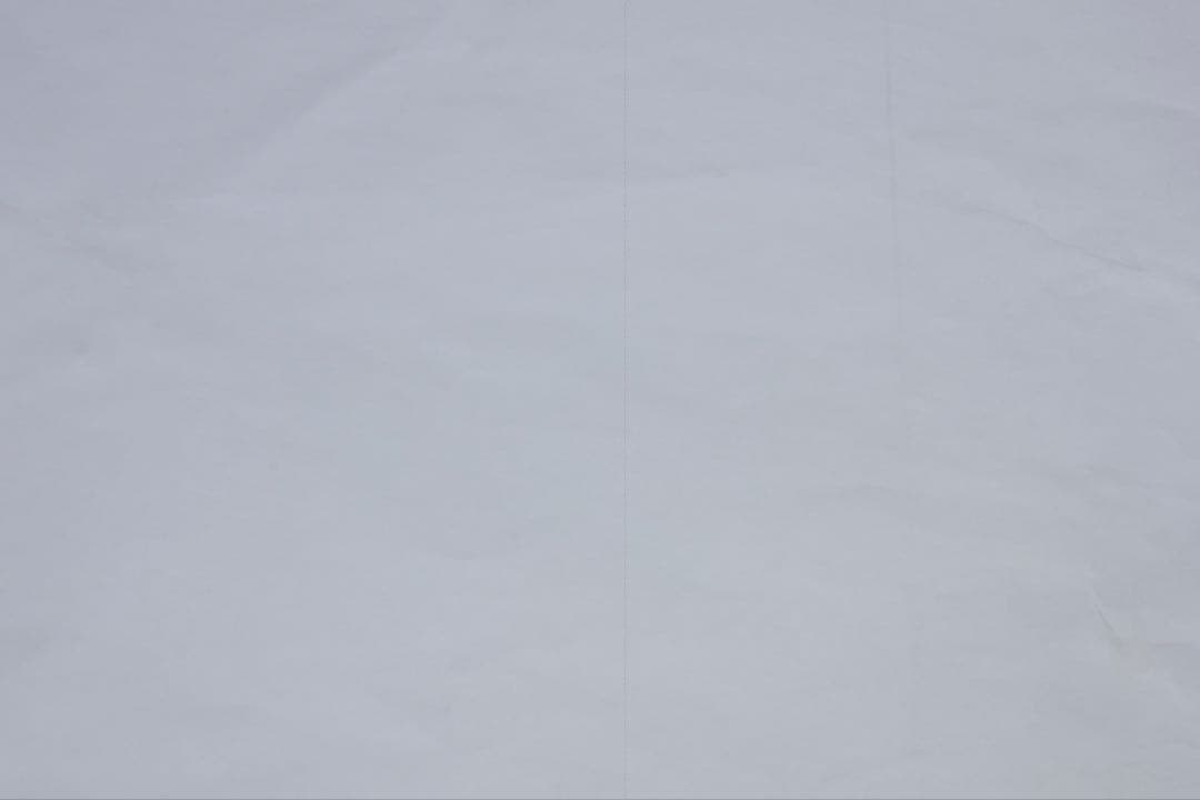 ※ジャンク品　Canon EOS R6 ミラーレス一眼 カメラ 本体