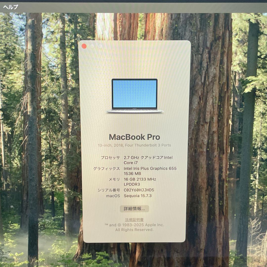 MacBookPro 2018 Retina シルバー 高性能i7/大容量1TB