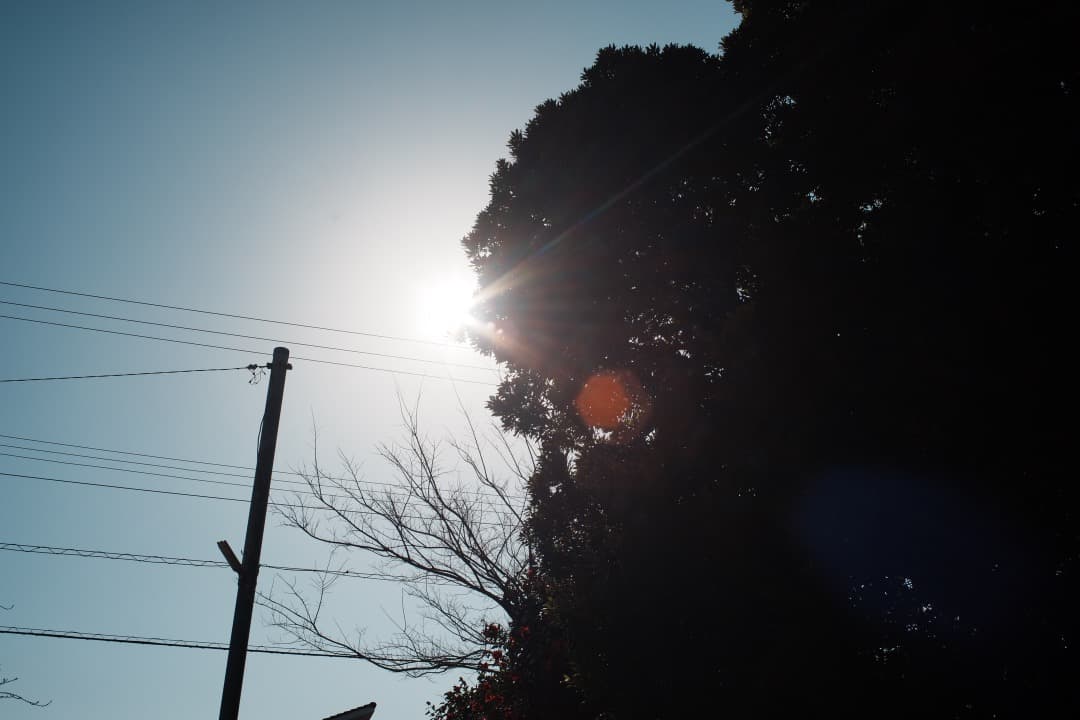 【極美品】動作◎ オリンパス Zuiko auto-w 24mm F2 979