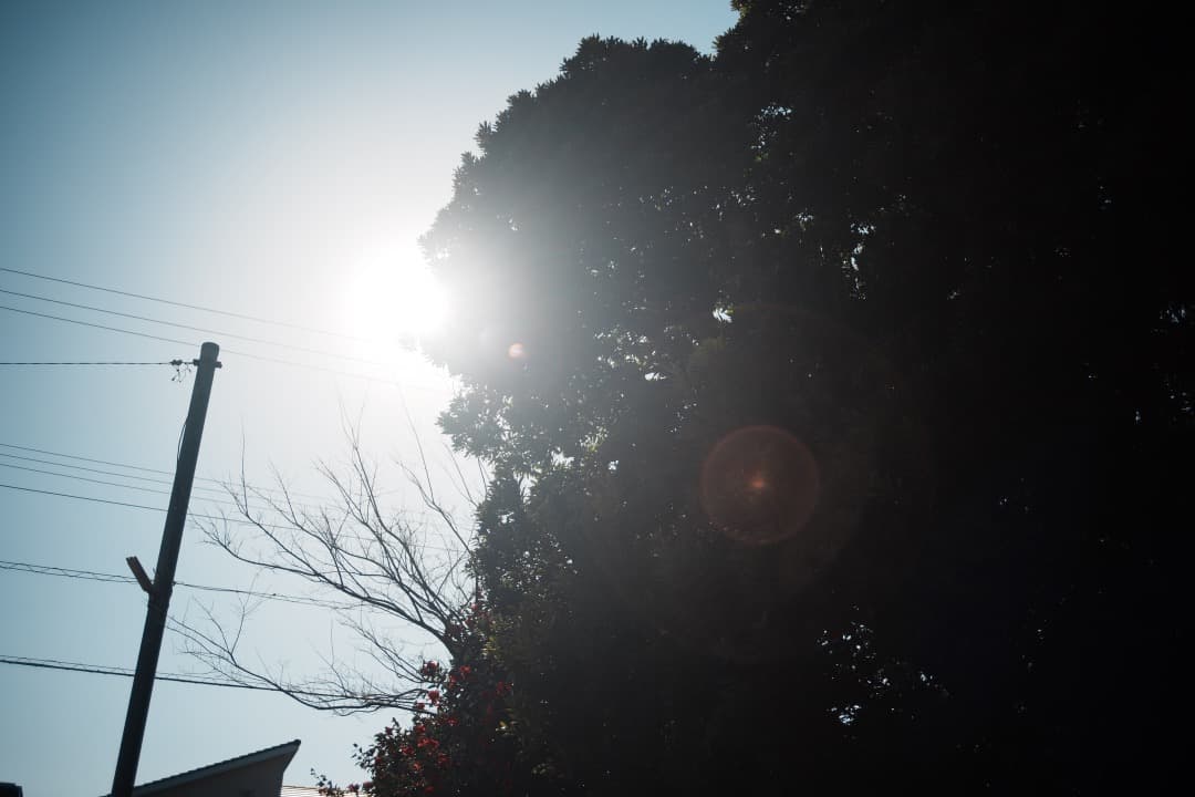 【極美品】動作◎ オリンパス Zuiko auto-w 24mm F2 979