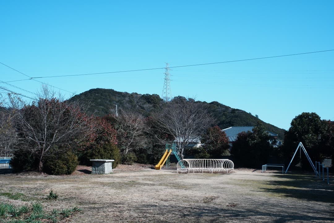 【極美品】動作◎ オリンパス Zuiko auto-w 24mm F2 979