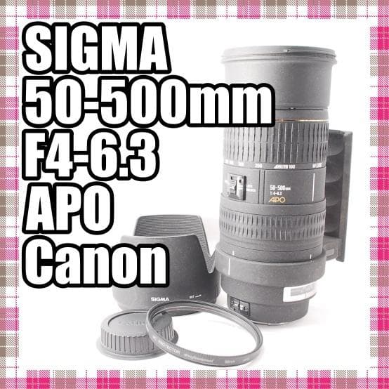 ✨超望遠レンズ✨SIGMA 50-500mm F4-6.3 APO Canon
