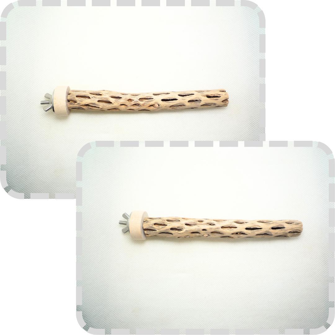 らいちょう　カクタスパーチ　3本セット