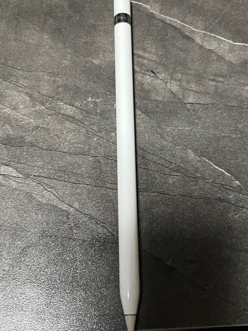 iPad 大画面、Apple Pencil第1世代