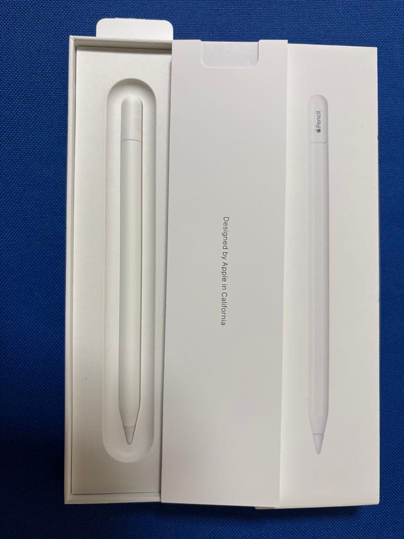 Apple Pencil(USB-C) 2025/12/1購入