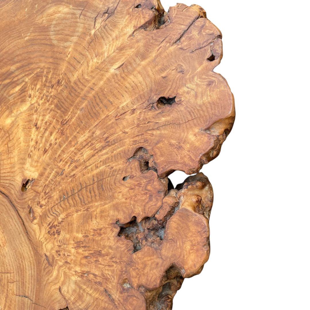 座卓　バール杢 ポプラ 一枚板 無垢材 瘤杢 チギリ ダイニングテーブル 希少