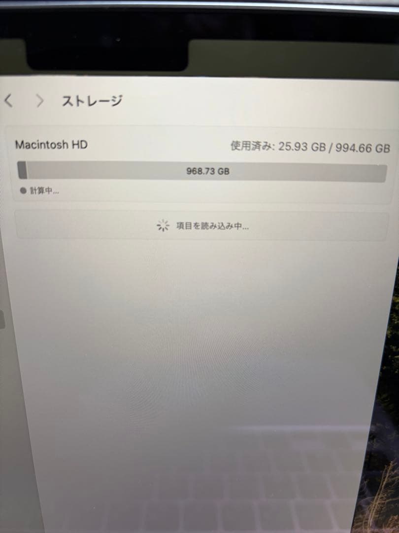 MacBook Air 2025 M4 24GB 1TB スカイブルー中古