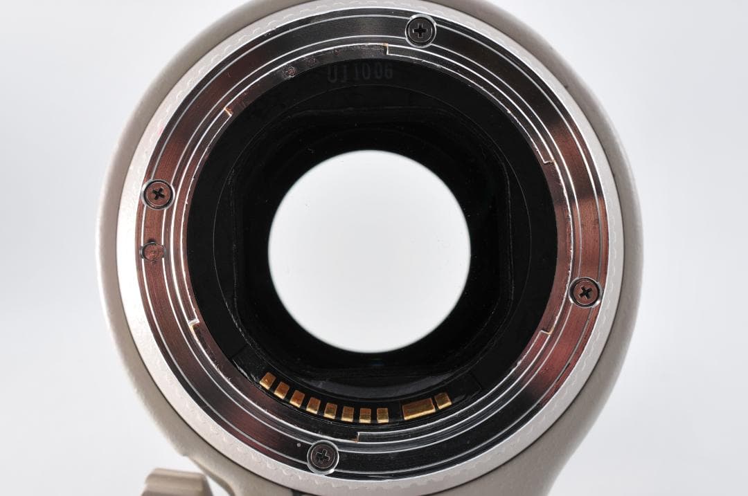 一眼レフレンズ【Canon EF 70-200mm f/2.8L USM】