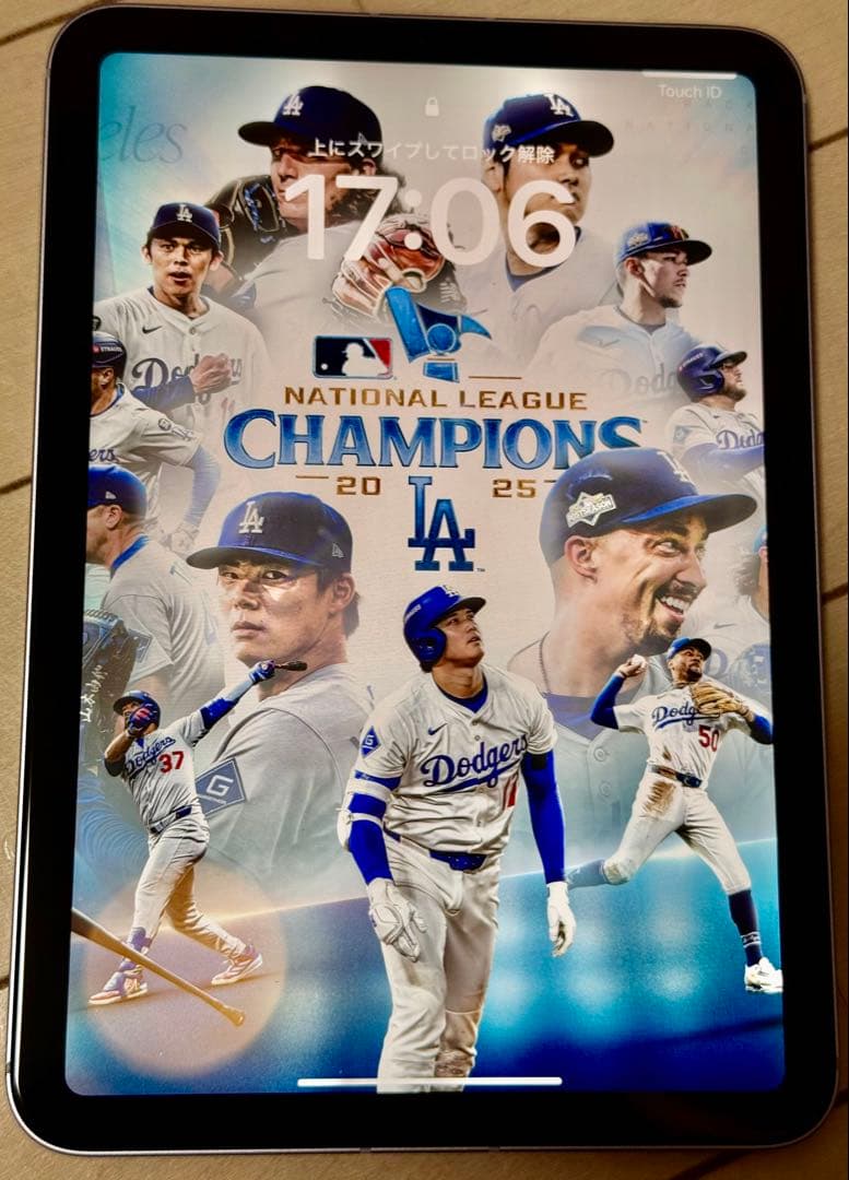 iPad本体 Apple iPad mini A17 Pro 256GB Cellular