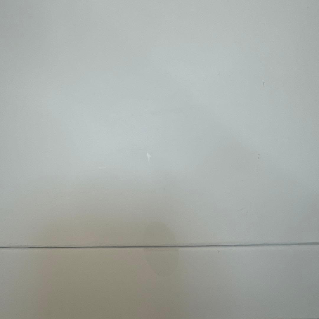 SALONIA PURE BRIGHT STEAMER グレー