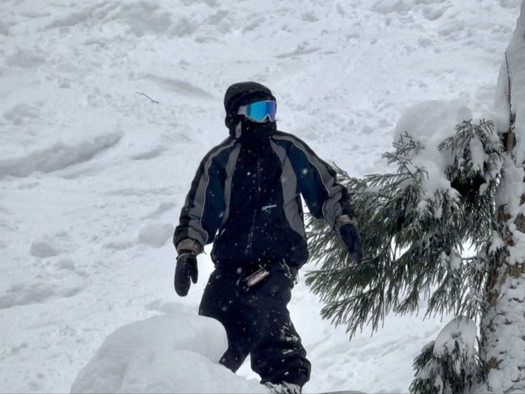 完売モデル DIMITO ディミト スノーボード ウェア ジャケット Lサイズ