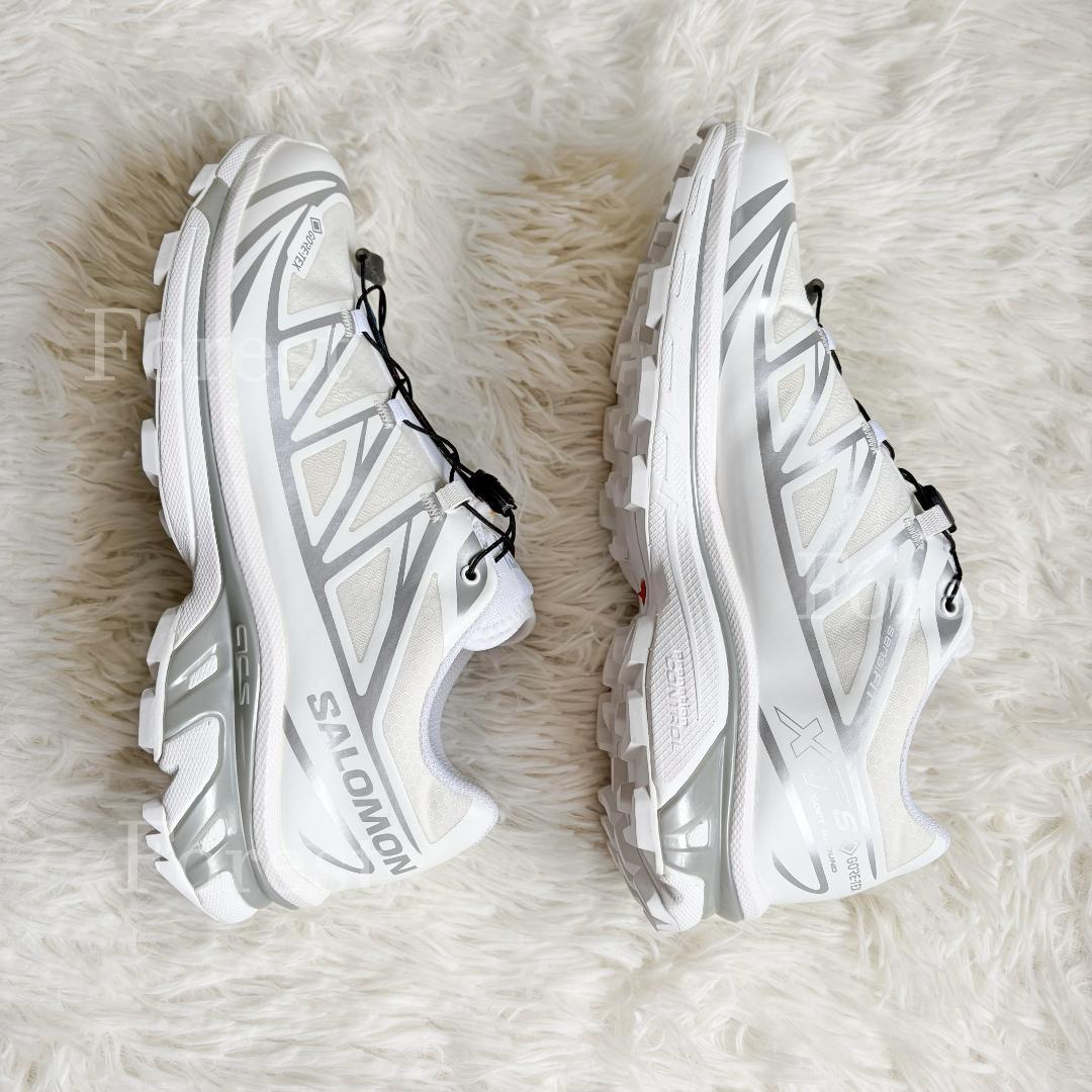 SALOMON XT-6 GTX　25.5