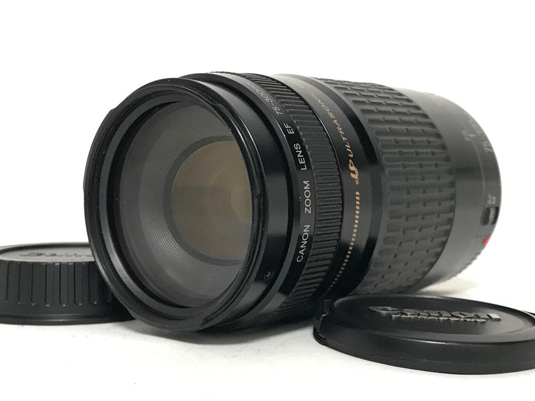 Canon EF 75-300mm F4-5.6 USM　#9310