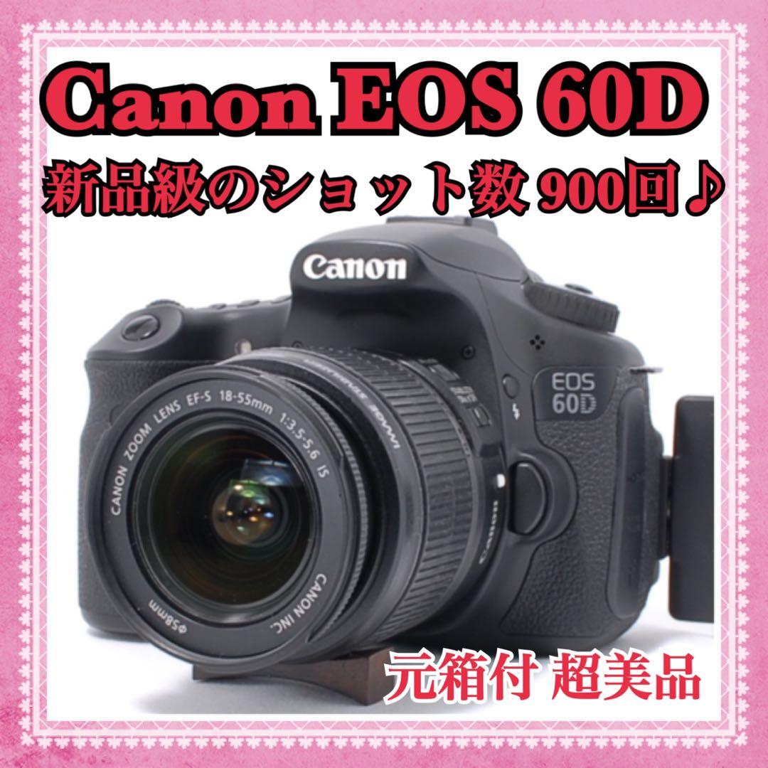 ショット数極少990回✨Canon EOS 60D 手ぶれ補正標準レンズセット♪