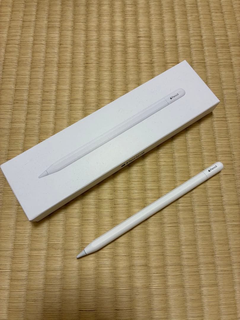 Apple Pencil (USB-C)箱入り