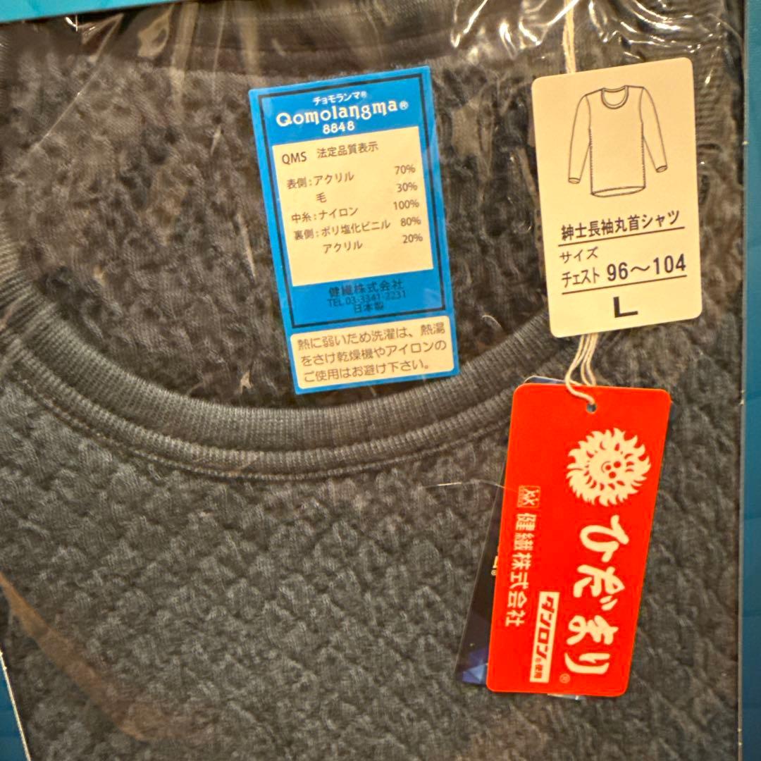 ひだまりチョモランマ　メンズ 長袖Tシャツ Lサイズ