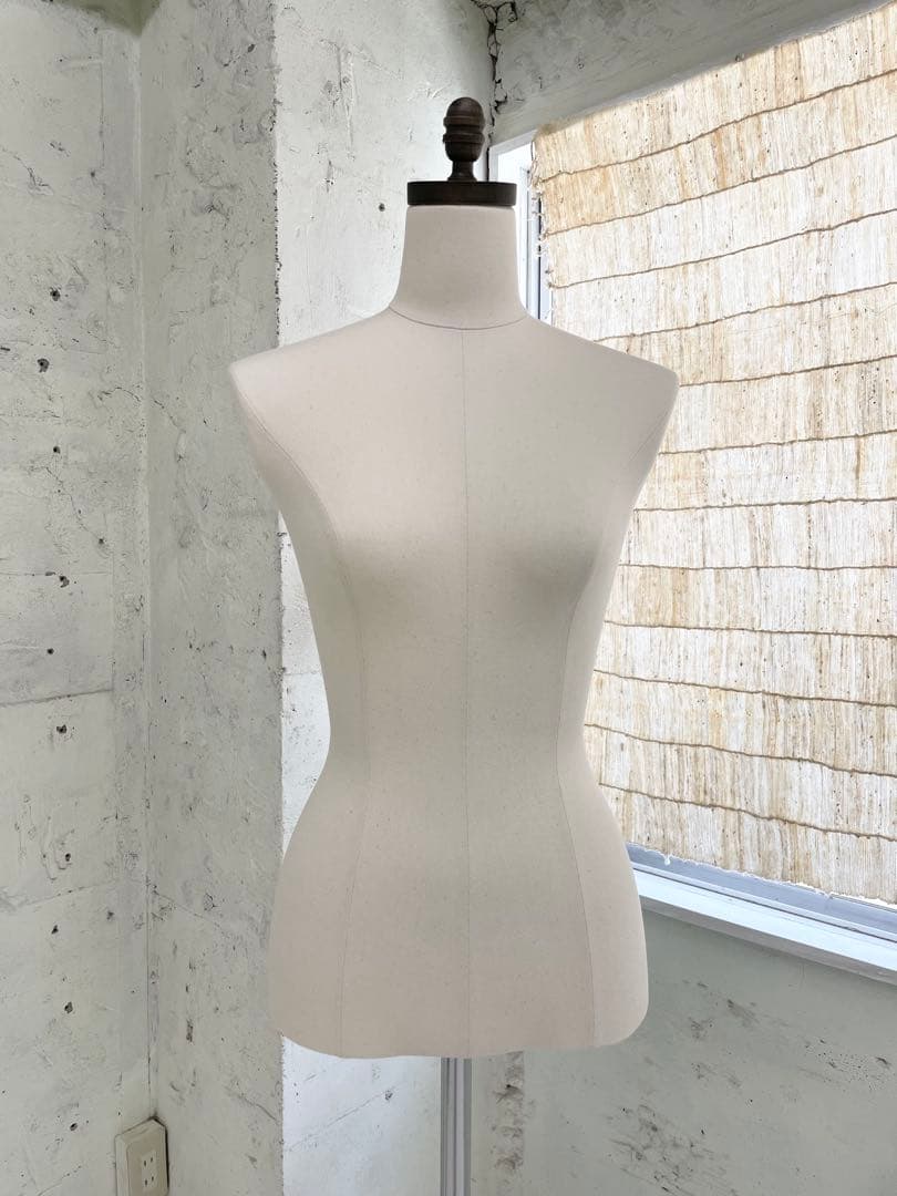 レディーストルソー　カツラギ張