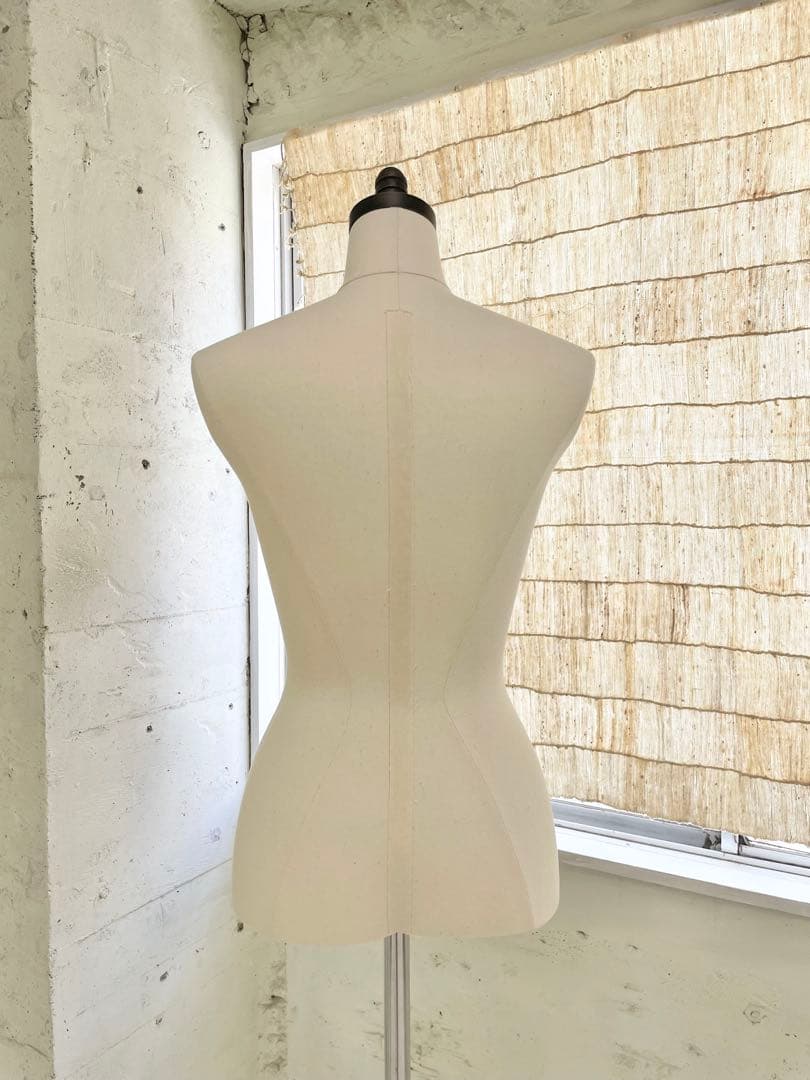 レディーストルソー　カツラギ張