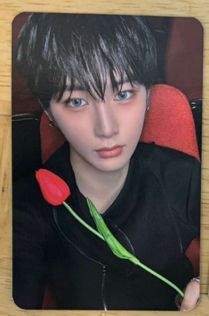 ald1 アンシン サノク トレカ