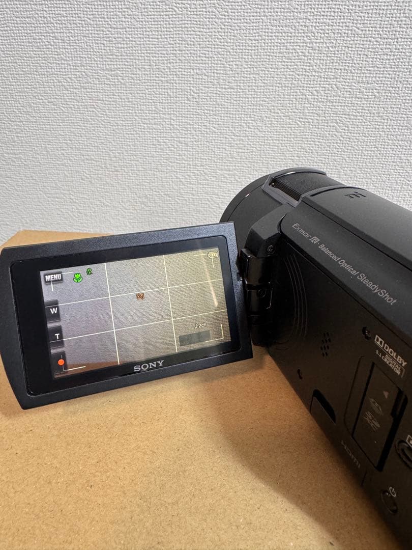 m*o様 SONY FDR-AX45