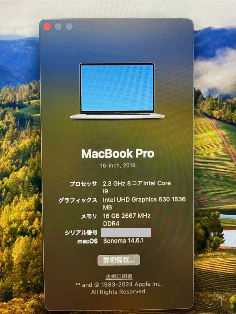 【美品】MacBook Pro 16\"(2019) i9/16GB/1TB