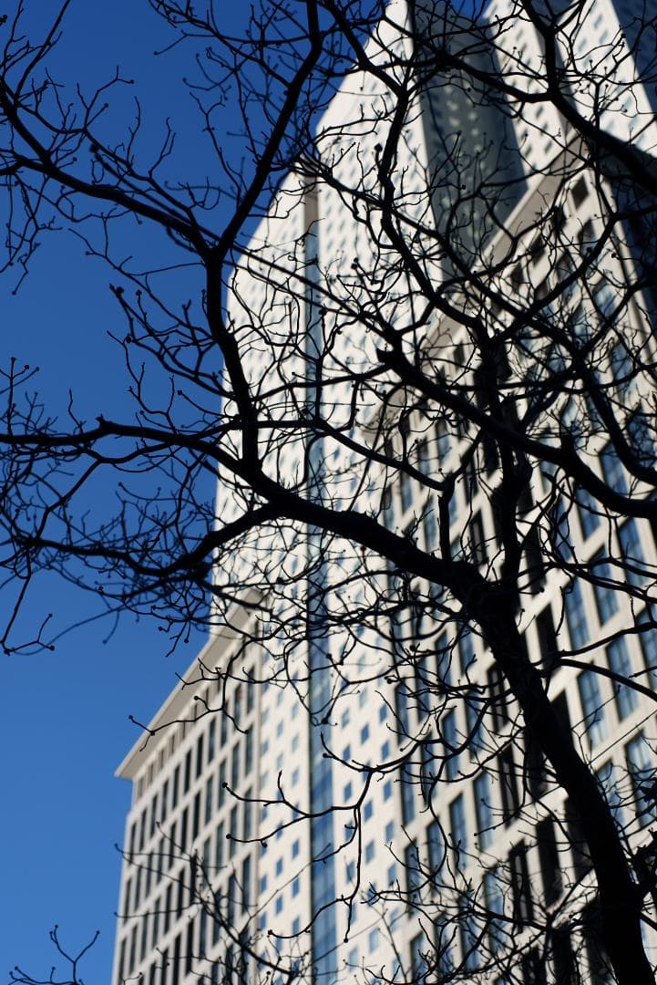 極美品！夜という名！Voigtlander NOKTON 50mm F1.1