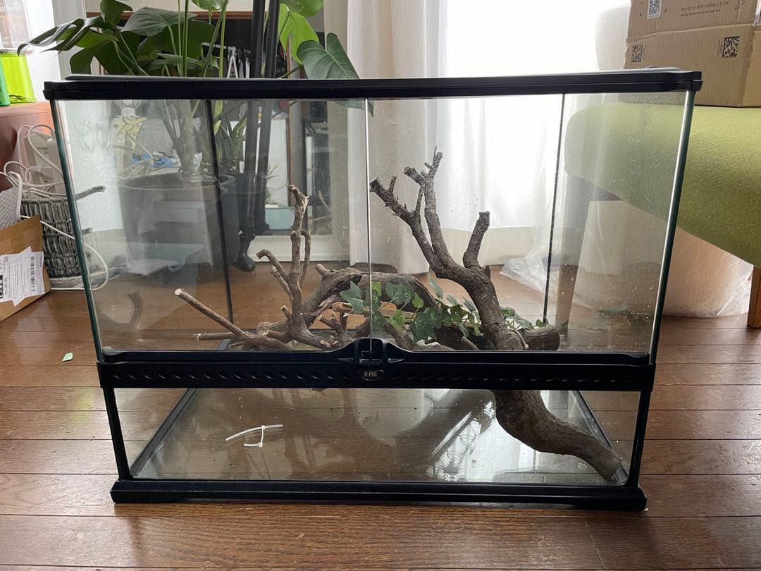 爬虫類ケージ GEX エキゾテラ グラステラリウム ガラスケージ 180サイズ