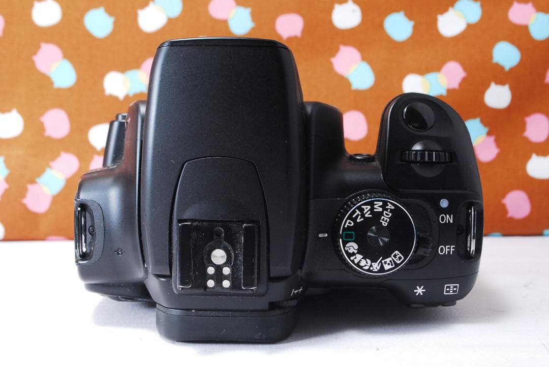 ✨超豪華セット✨元箱付き✨Canon Kiss Digital X レンズセット