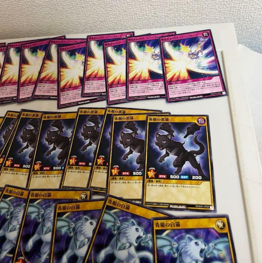 遊戯王、ラッシュデュエル、金眼の星猫、緑眼の星猫、銀眼の星猫（字レア、ノーマル）