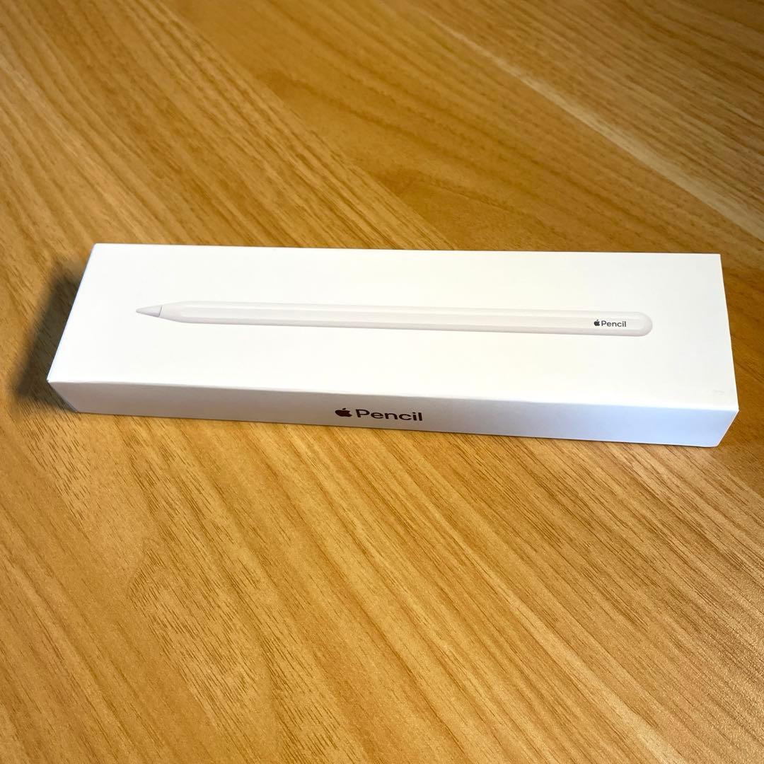 Apple PencilとiPad Pro 256GB 12.9インチ 第5世代